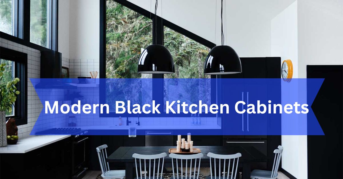 Modern Black Kitchen Cabinets